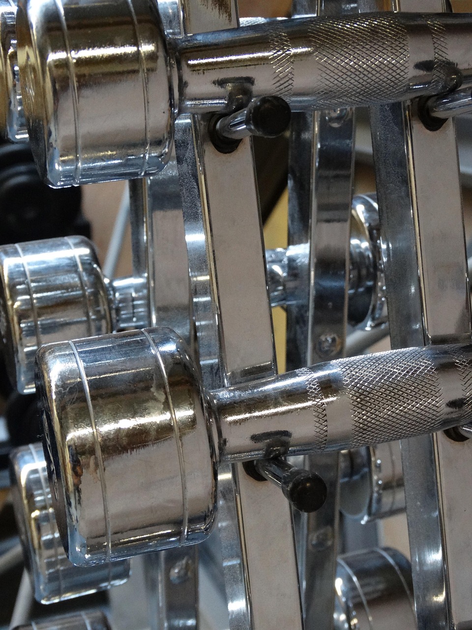 Personal Training mit Monika Loiber